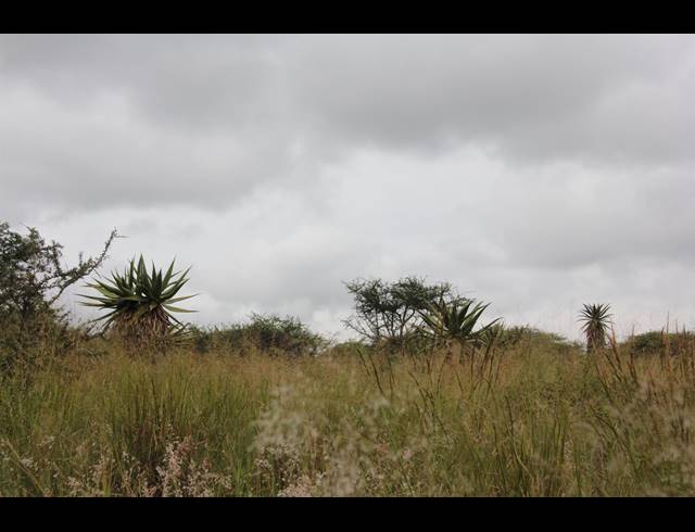 23HA VACANT LAND FOR SALE IN BENDOR